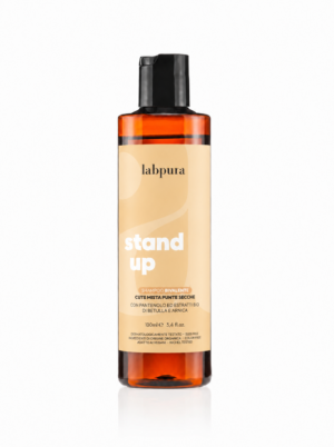 Stand-Up